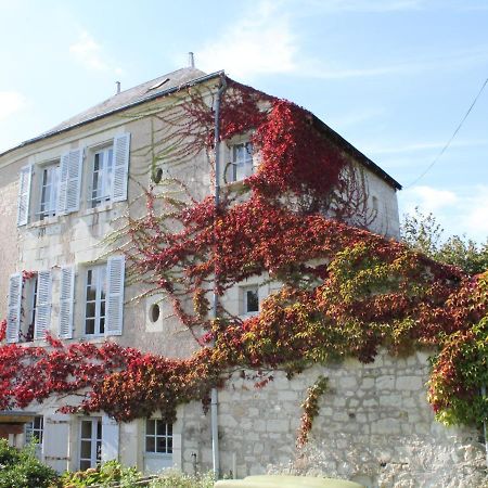 فيلا Gite Au Calme Avec Jardin Et Wifi A La Roche-Posay - Fr-1-541-52 المظهر الخارجي الصورة